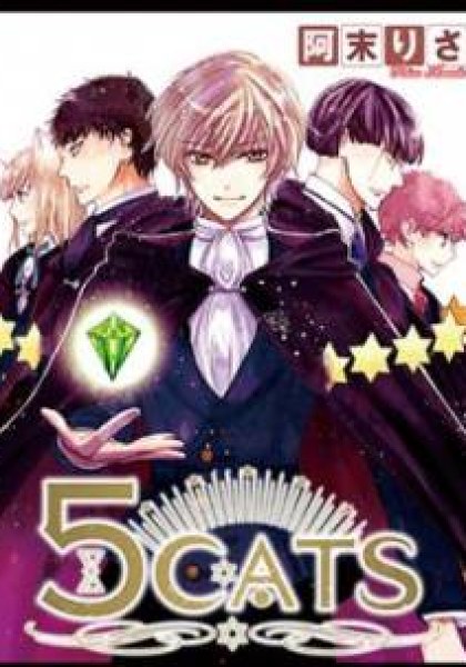 5 Cats