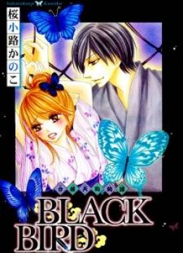 Black Bird