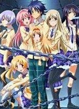 Chaos Head