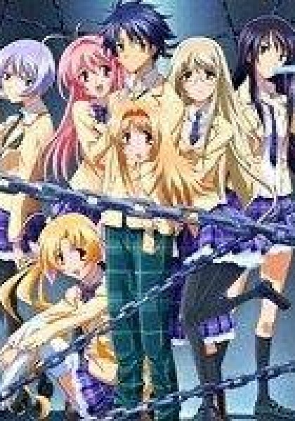 Chaos Head