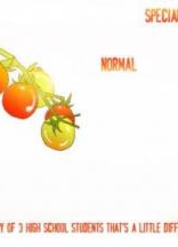 Cherry Tomato