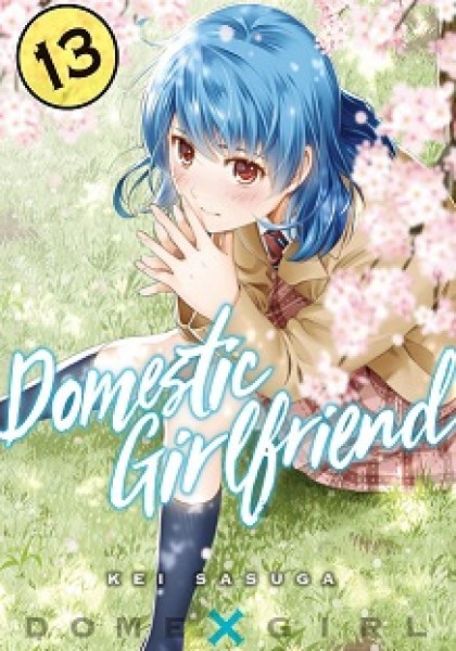 Domestic na Kanojo