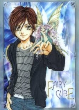 Fairy Cube