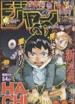 Hachi