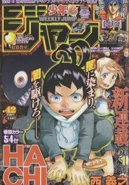 Hachi