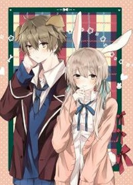 Hatsukoi Maze