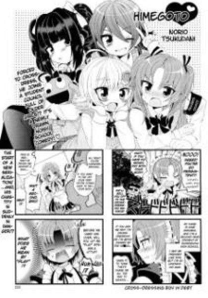 Himegoto (TSUKUDANI Norio)