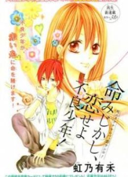 Inochi Mijikashi, Koi seyo Furyou Shounen!