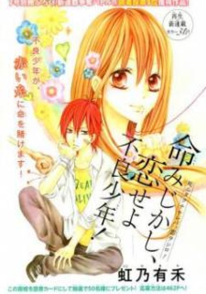 Inochi Mijikashi, Koi seyo Furyou Shounen!