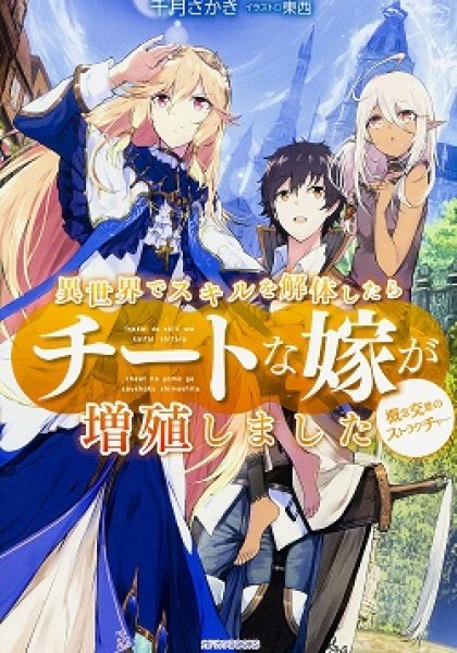 Isekai de Skill wo Kaitai Shitara Cheat na Yome ga Zoushoku Shimashita: Gainen Kousa no Structure