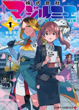 Kabushiki Gaisha MagiLumiere