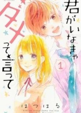 Kimi ga Inakya Dame tte Itte
