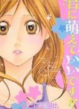 Kimi ni Moete Ii desu ka