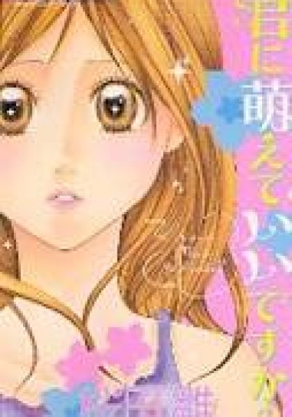 Kimi ni Moete Ii desu ka