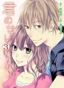 Kimi No Sei