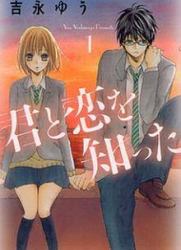 Kimi to Koi o Shitta