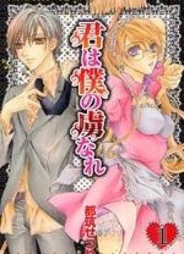 Kimi wa Boku no Toriko nare