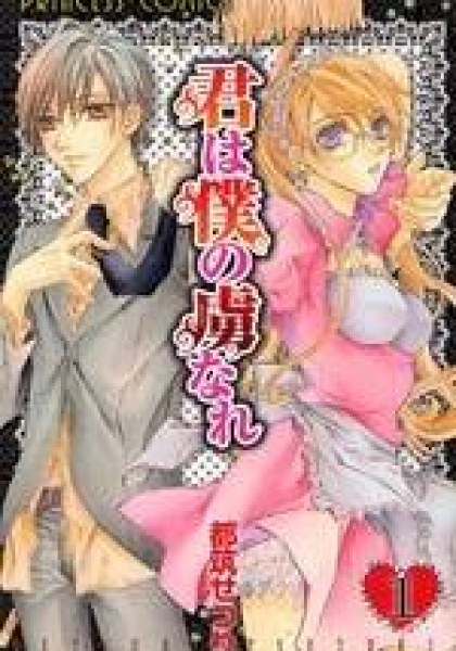Kimi wa Boku no Toriko nare