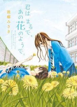 Kimi wa Maru de, Ano Hana no You de.
