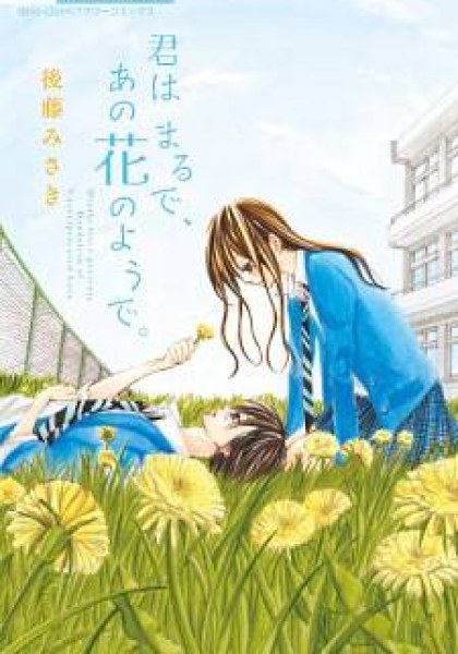Kimi wa Maru de, Ano Hana no You de.