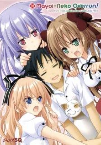 Mayoi Neko Overrun