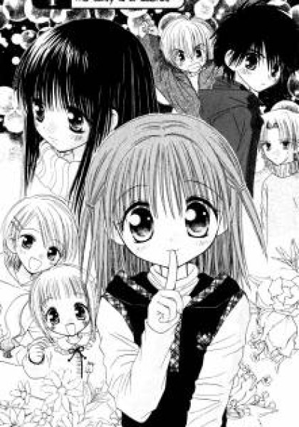 Naisho no Tsubomi