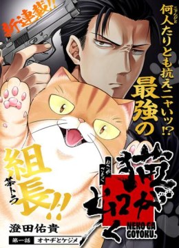 Neko ga Gotoku