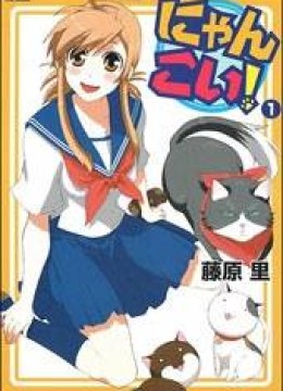 Nyan Koi!