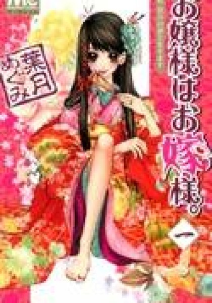 Ojousama wa Oyomesama