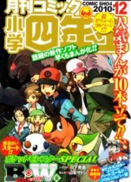 Pokemon Special: Black & White