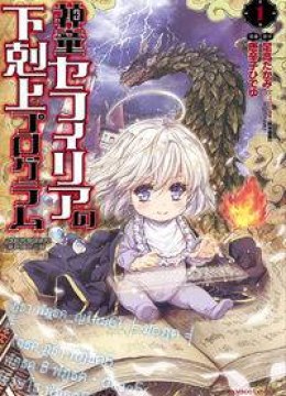 Shindou Sefiria no Gekokujou Program