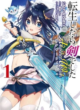 Tensei Shitara Ken Deshita Another Wish